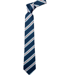 St Stithians Tie