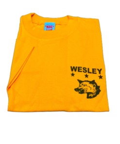 St Stithians House T-Shirt Wesley